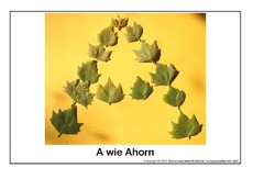 A-wie-Ahorn.pdf